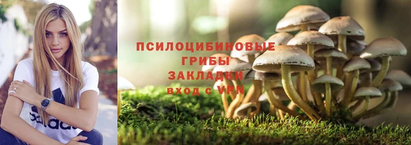 прущая мука Гусев