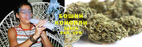 прущая мука Гусев