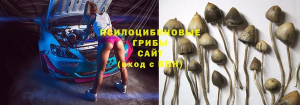 прущая мука Гусев