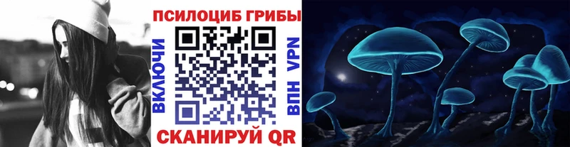 Галлюциногенные грибы Psilocybe  Облучье 